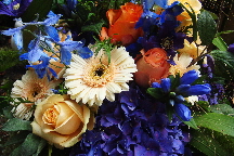 2016 08.jpg 2016 08.jpg