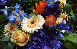 2016 08.jpg 2016 08.jpg